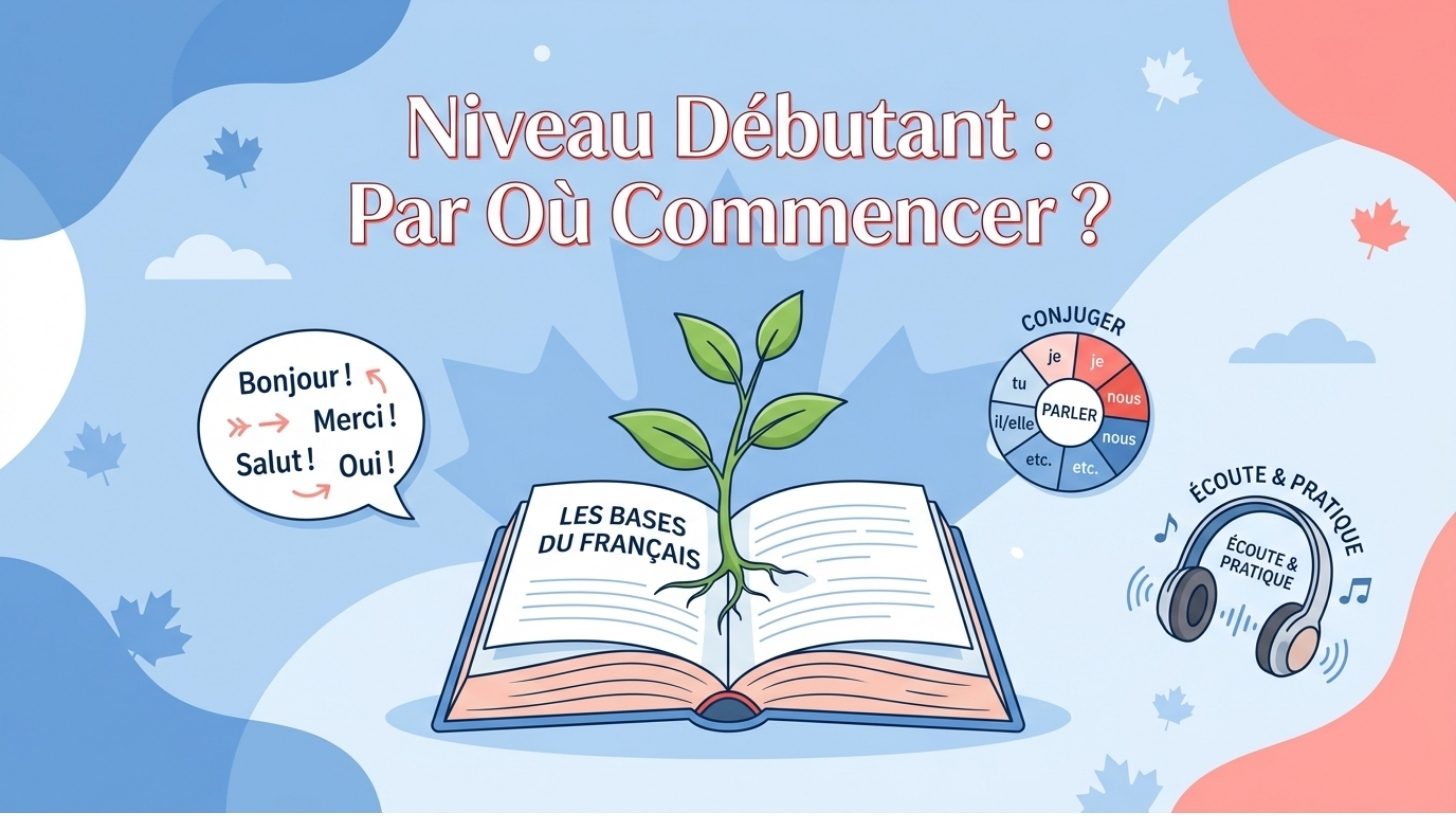 TCF Canada niveau débutant : par où commencer ?